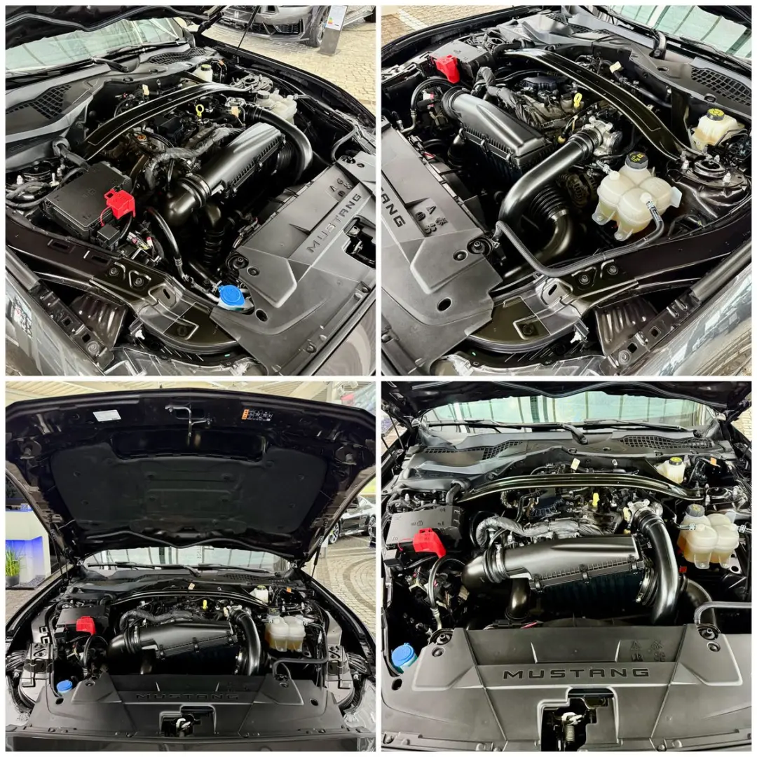 Mustang 2,3 EcoBoost Cabrio Autom. + Garantie
