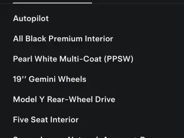 Tesla Model Y Rear drive