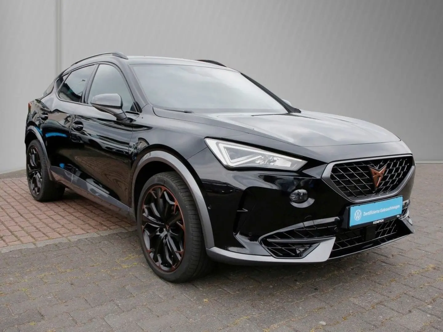 Formentor VZ 2.0 TSI 4Drive 19