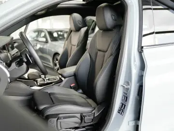 X4 xDrive20i M Sport 19LM ACC Panorama AHK