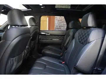 Palisade AWD Ultimate 360° Leder Pano