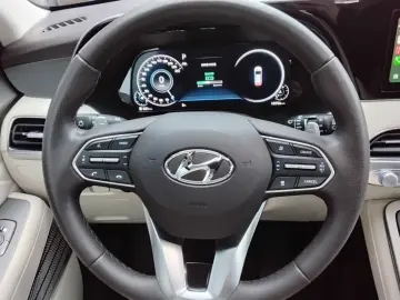 Palisade VOLLAUSSTATTUNG LEDER LED PANO CARPLAY