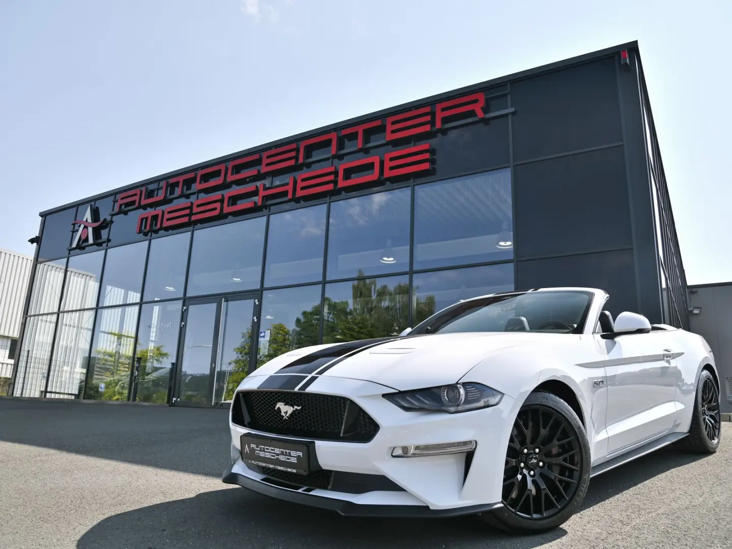 Mustang Cabrio 5.0 Ti-VCT V8 GT *Carbon-Styling*