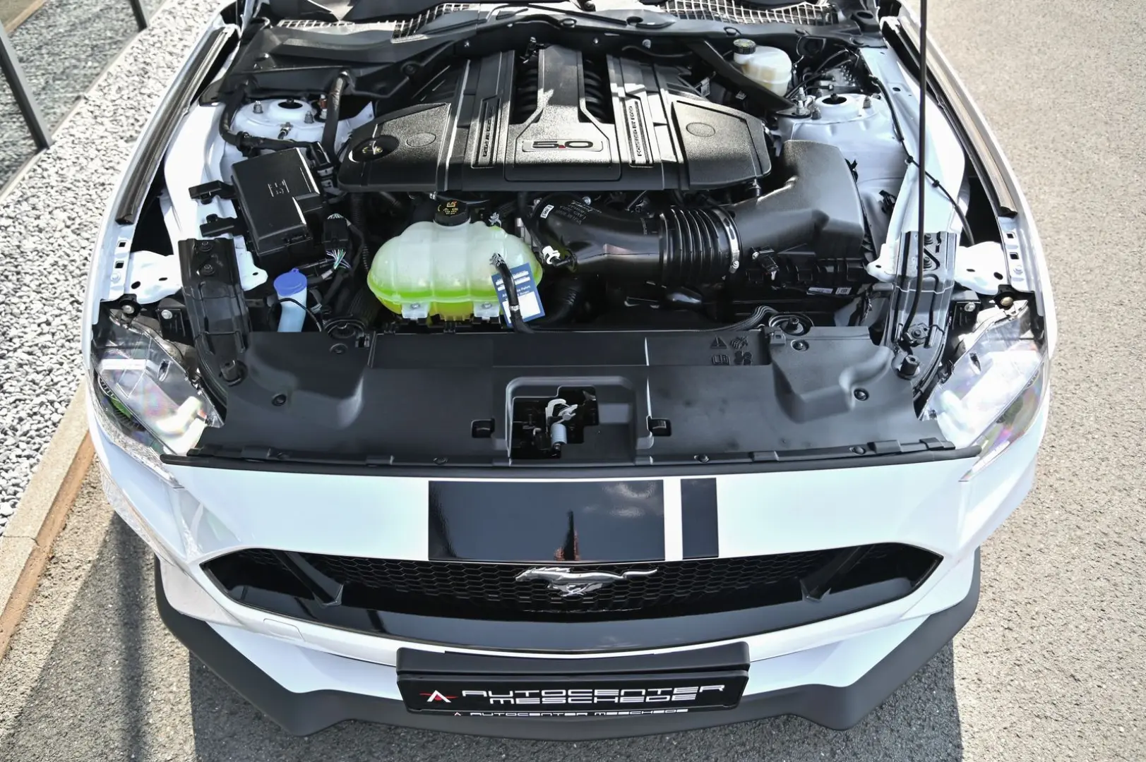 Mustang Cabrio 5.0 Ti-VCT V8 GT *Carbon-Styling*
