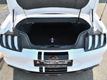 Mustang Cabrio 5.0 Ti-VCT V8 GT *Carbon-Styling*