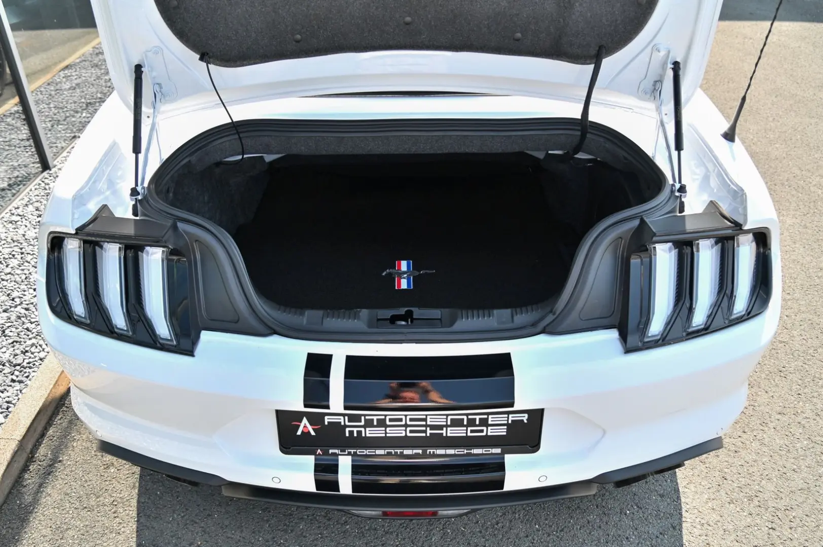 Mustang Cabrio 5.0 Ti-VCT V8 GT *Carbon-Styling*