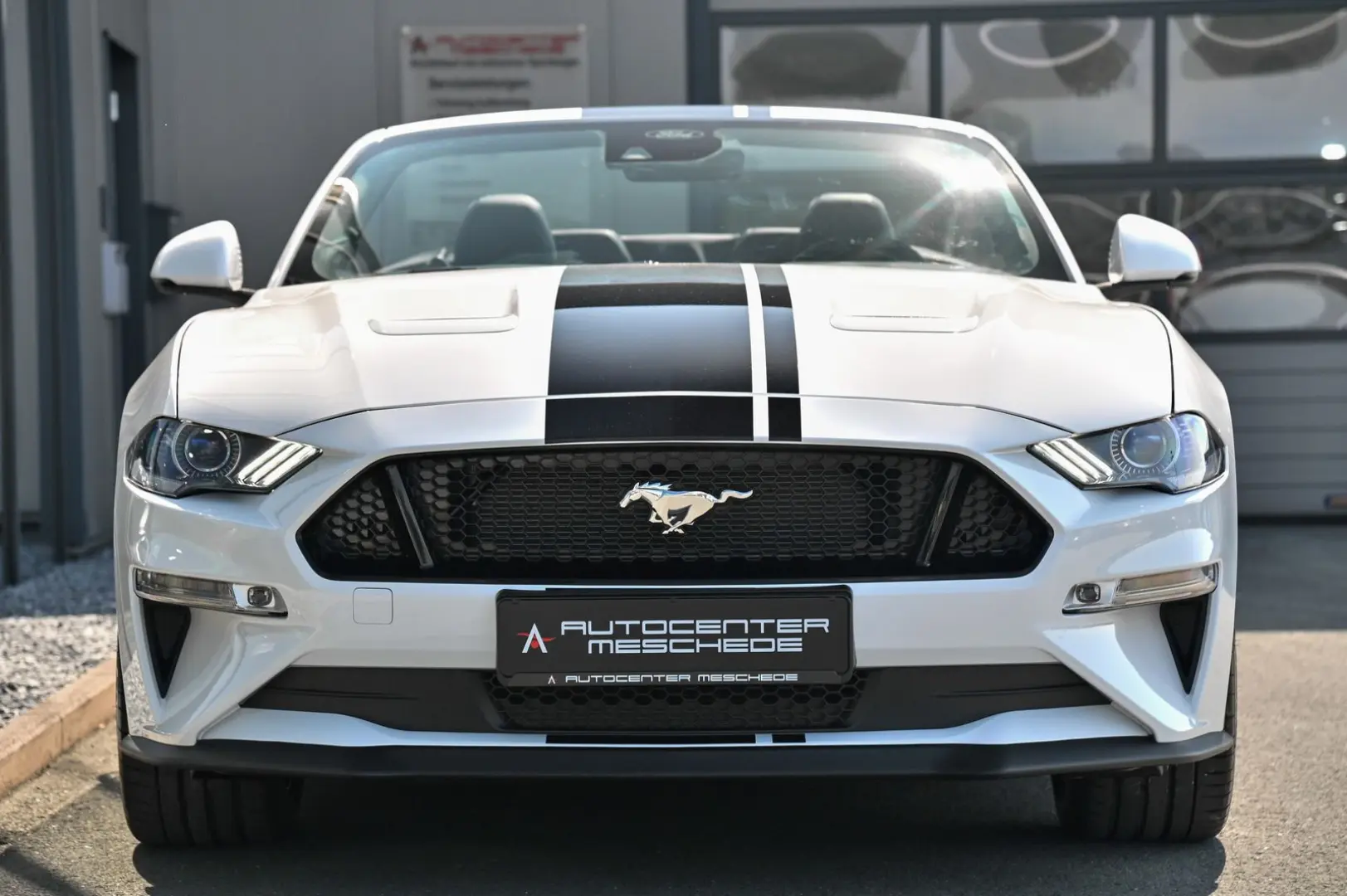 Mustang Cabrio 5.0 Ti-VCT V8 GT *Carbon-Styling*