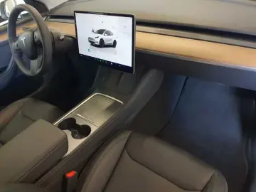 Model Y Performance Dual Motor AWD