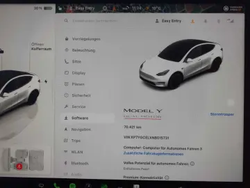 Model Y Performance Dual Motor AWD
