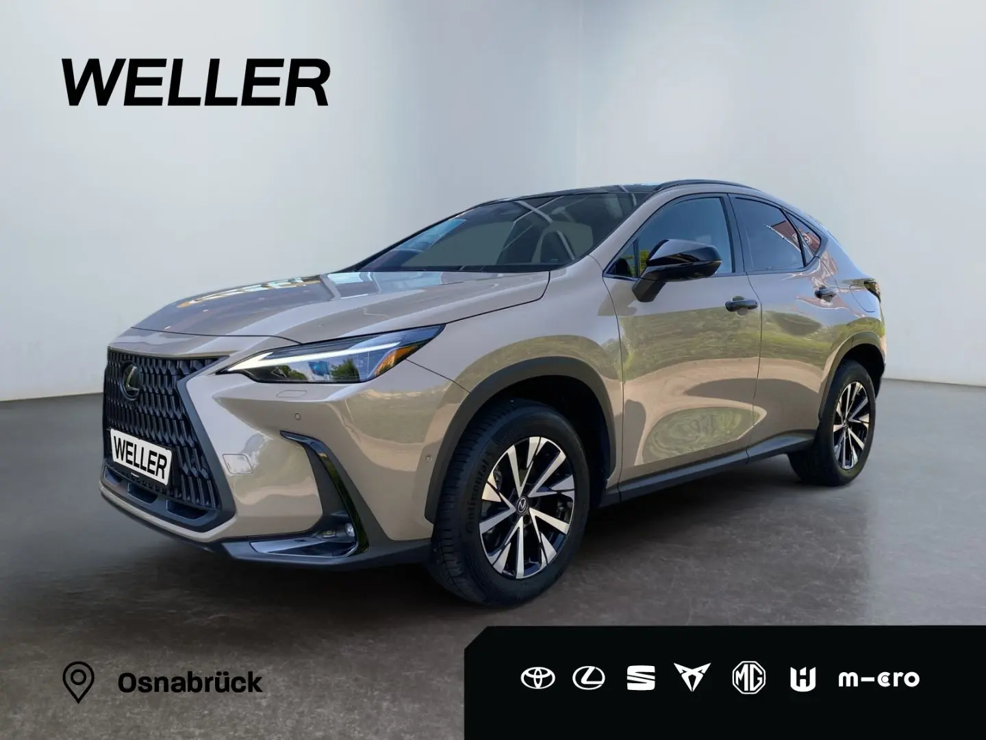 NX 350h E-FOUR Overtrail *Pano*HUD*Mark Levinson
