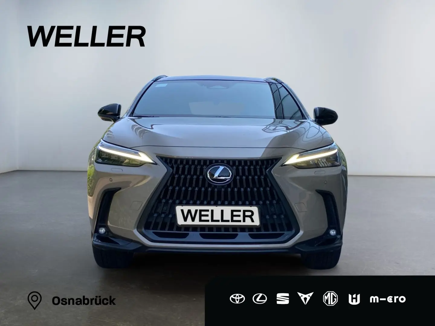 NX 350h E-FOUR Overtrail *Pano*HUD*Mark Levinson