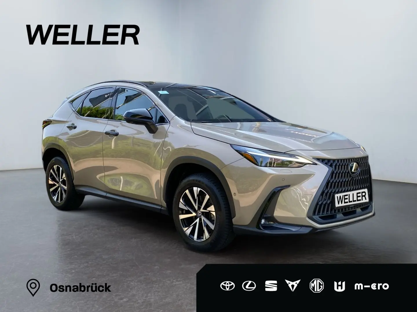 NX 350h E-FOUR Overtrail *Pano*HUD*Mark Levinson