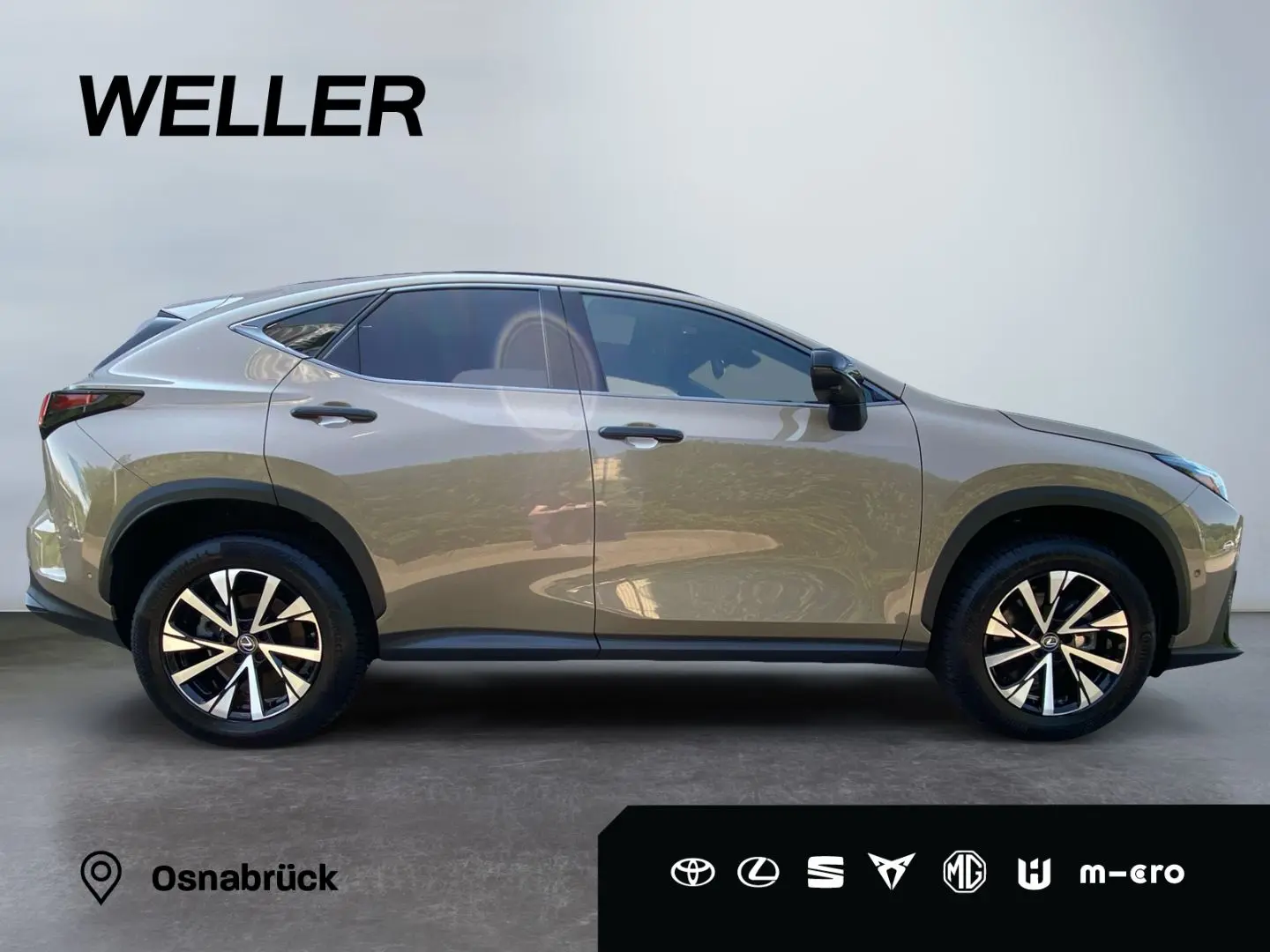 NX 350h E-FOUR Overtrail *Pano*HUD*Mark Levinson