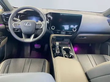 NX 350h E-FOUR Overtrail *Pano*HUD*Mark Levinson
