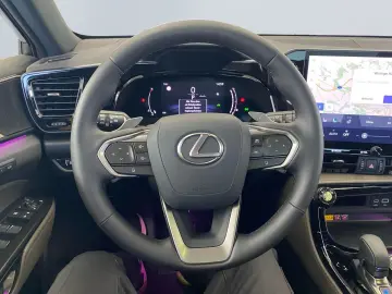 NX 350h E-FOUR Overtrail *Pano*HUD*Mark Levinson