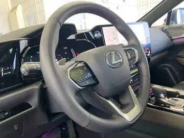 NX 350h E-FOUR Overtrail *Pano*HUD*Mark Levinson