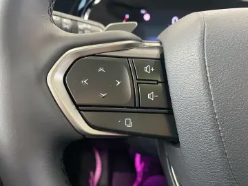 NX 350h E-FOUR Overtrail *Pano*HUD*Mark Levinson