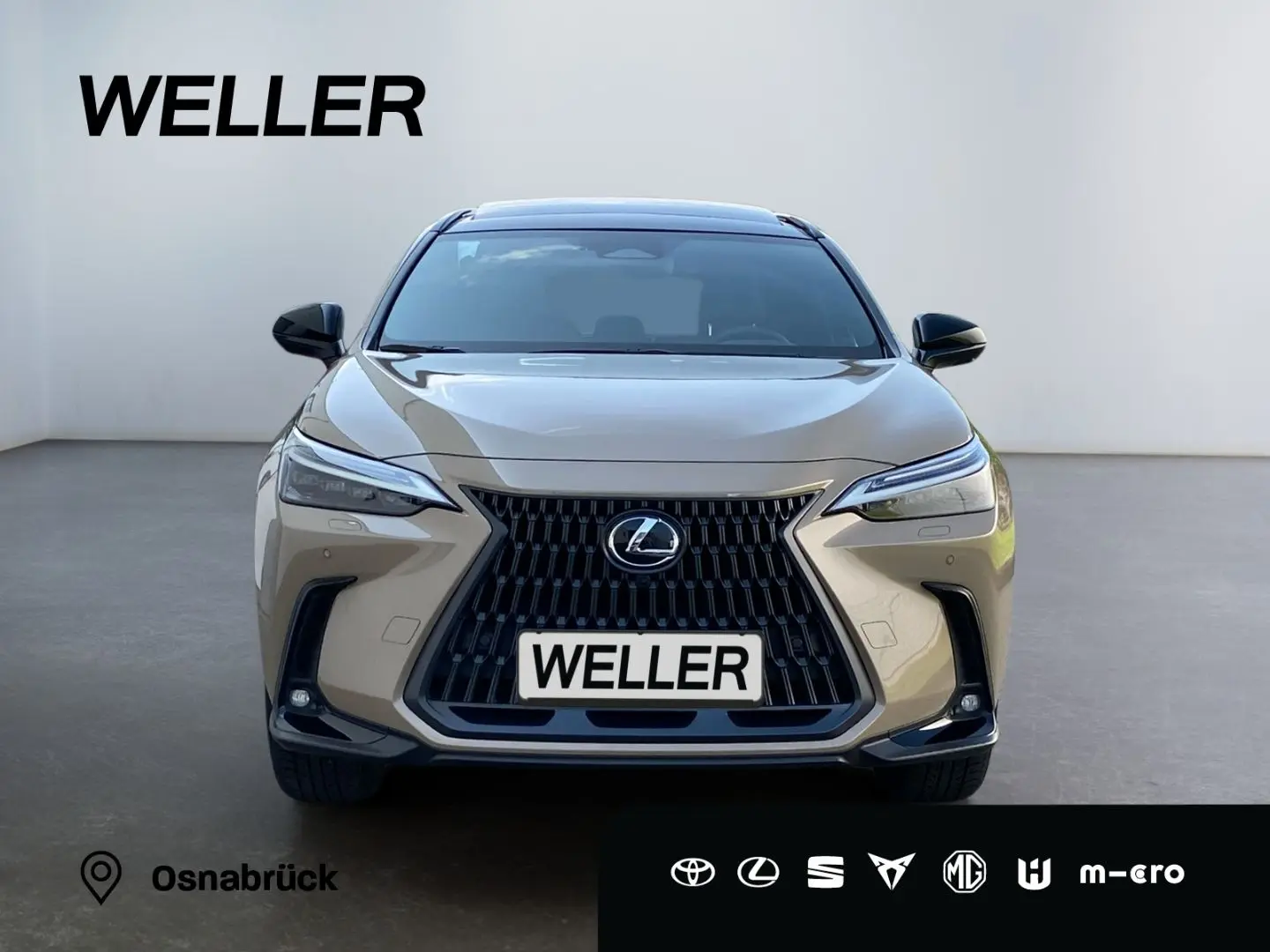 NX 350h E-Four Overtrail *360°*Panoramaglasdach*