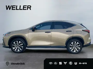 NX 350h E-Four Overtrail *360°*Panoramaglasdach*