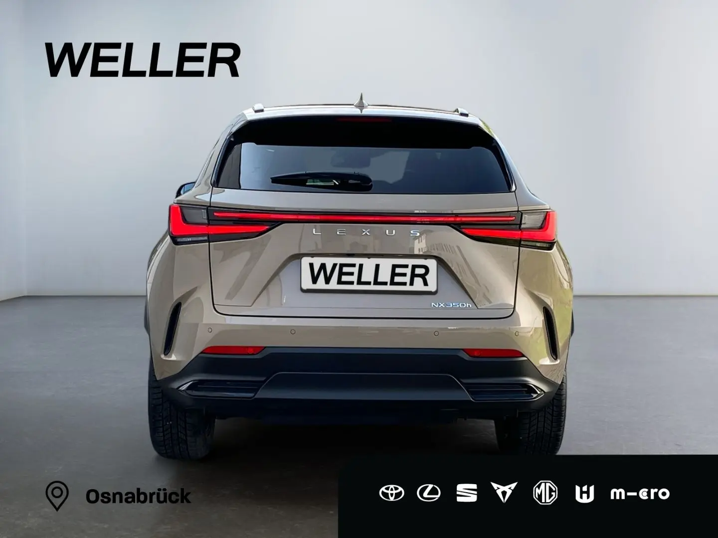 NX 350h E-Four Overtrail *360°*Panoramaglasdach*