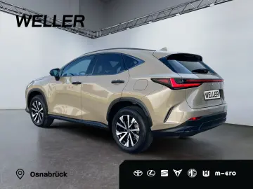 NX 350h E-Four Overtrail *360°*Panoramaglasdach*