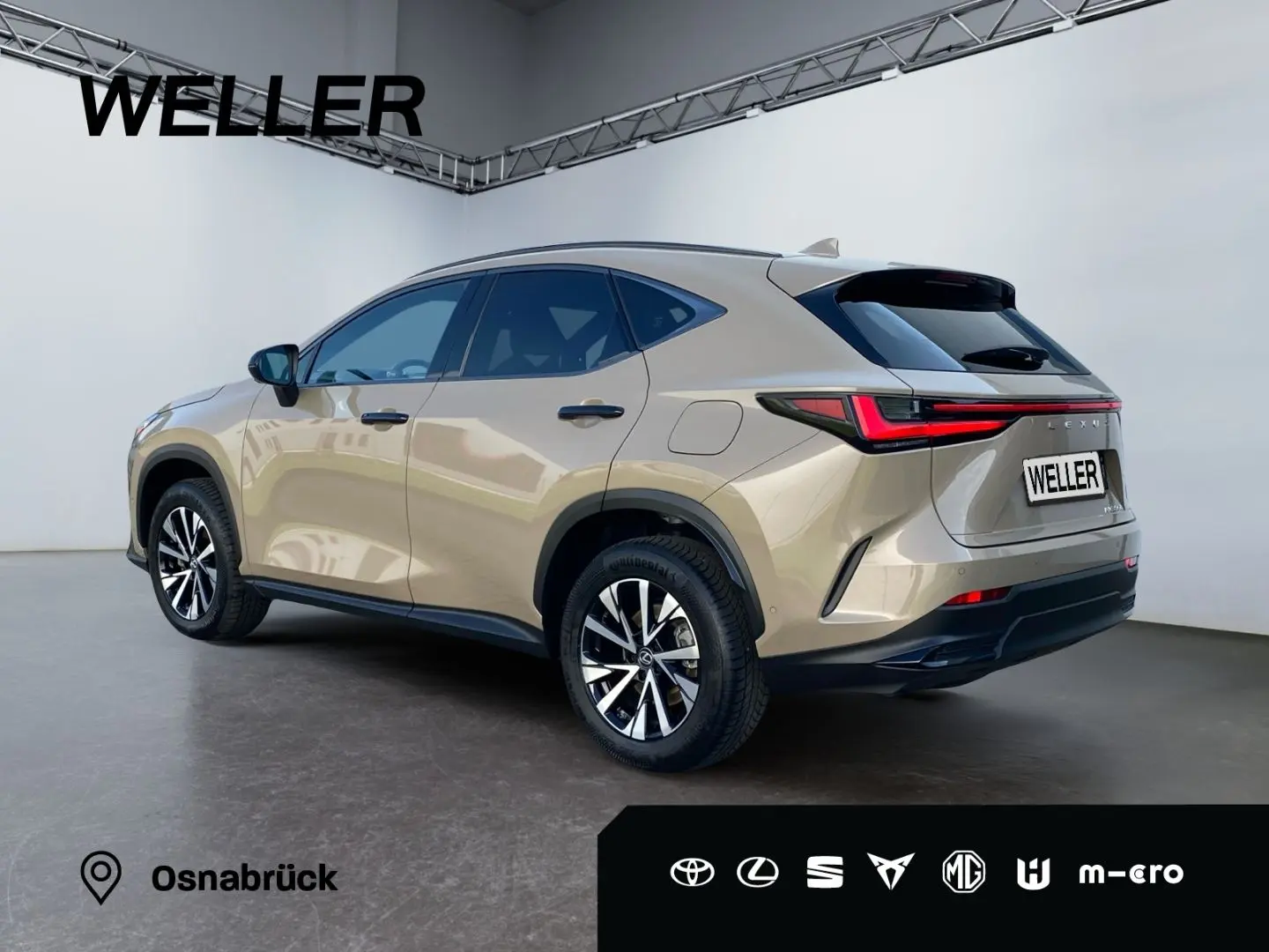 NX 350h E-Four Overtrail *360°*Panoramaglasdach*