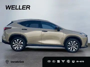NX 350h E-Four Overtrail *360°*Panoramaglasdach*
