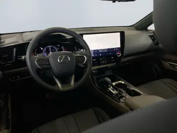 NX 350h E-Four Overtrail *360°*Panoramaglasdach*