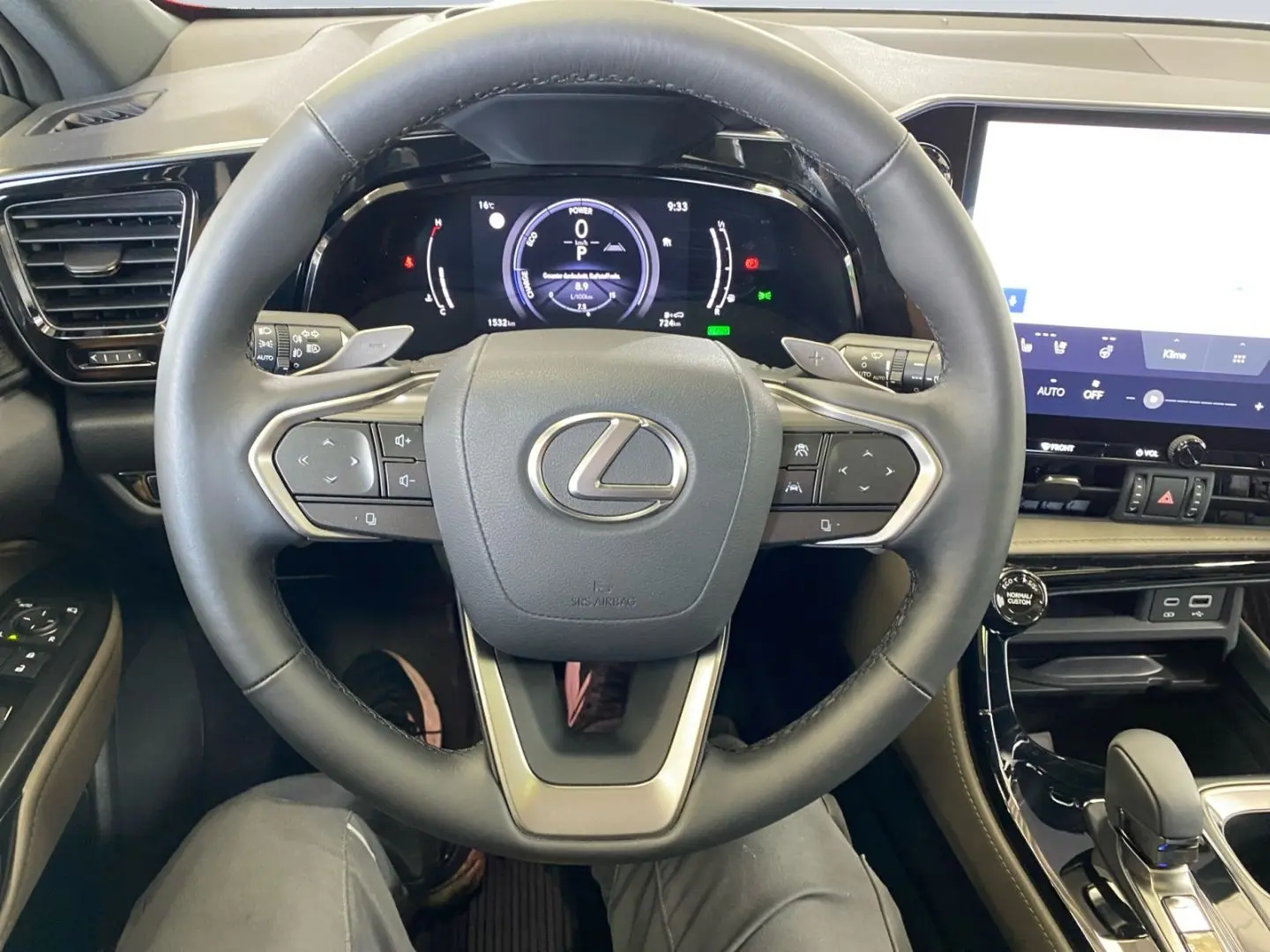 NX 350h E-Four Overtrail *360°*Panoramaglasdach*