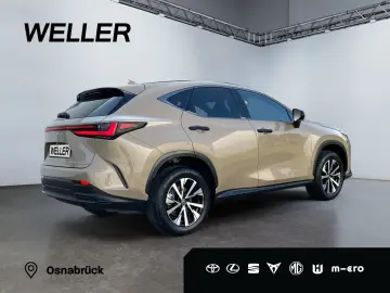 NX 350h E-Four Overtrail *360°*Panoramaglasdach*