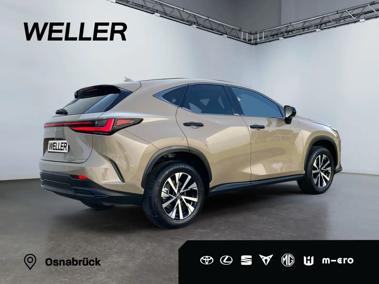 NX 350h E-Four Overtrail *360°*Panoramaglasdach*
