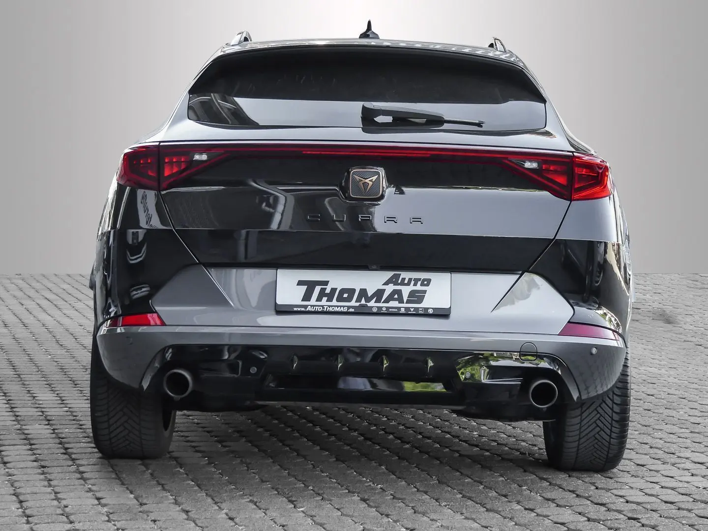 Formentor VZ 2.0 TSI DSG AHK+RFK+NAVI+SHZ+LED