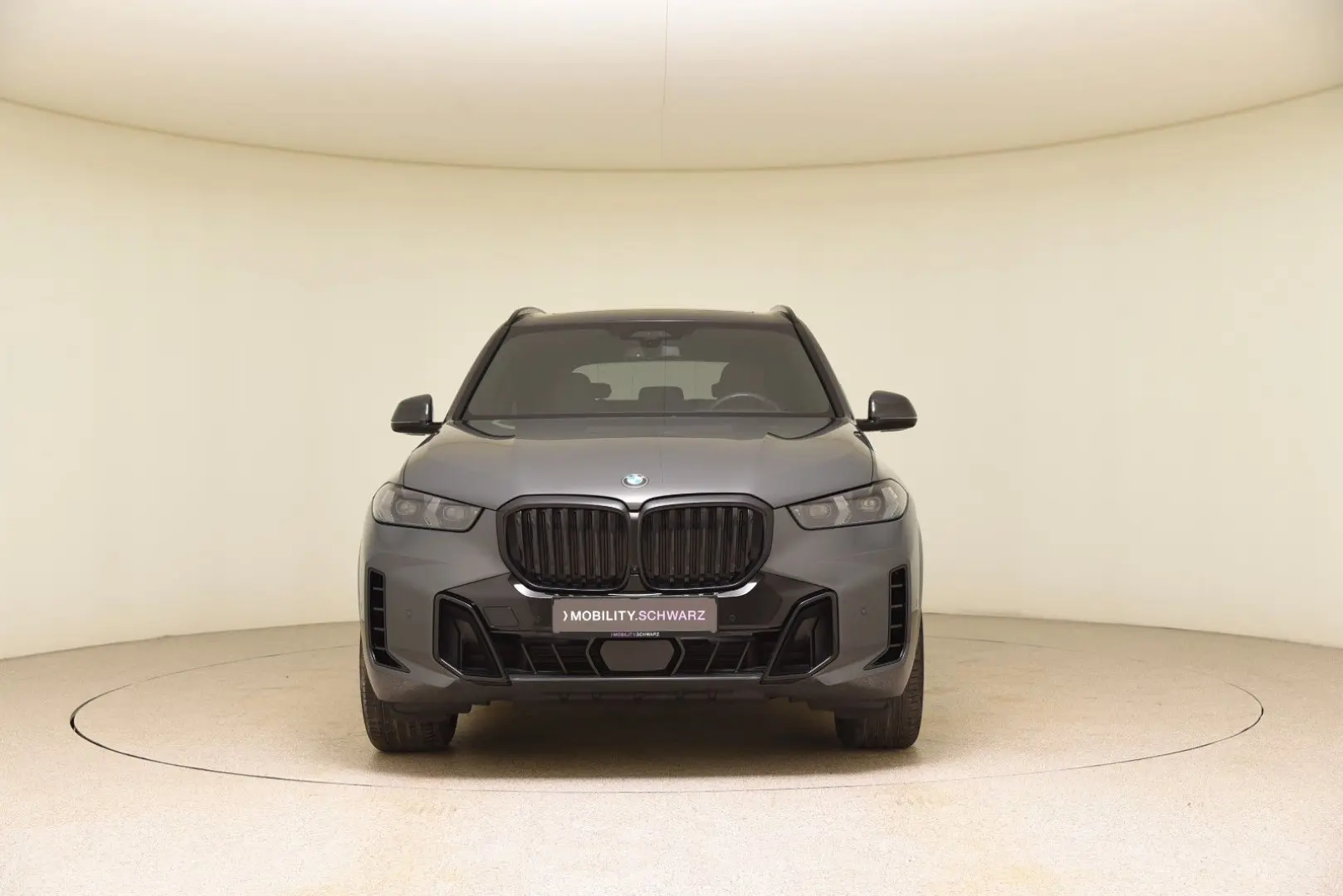 X5 xDrive30d M Sport Pro ACC AHK H&K Pano HeadUp