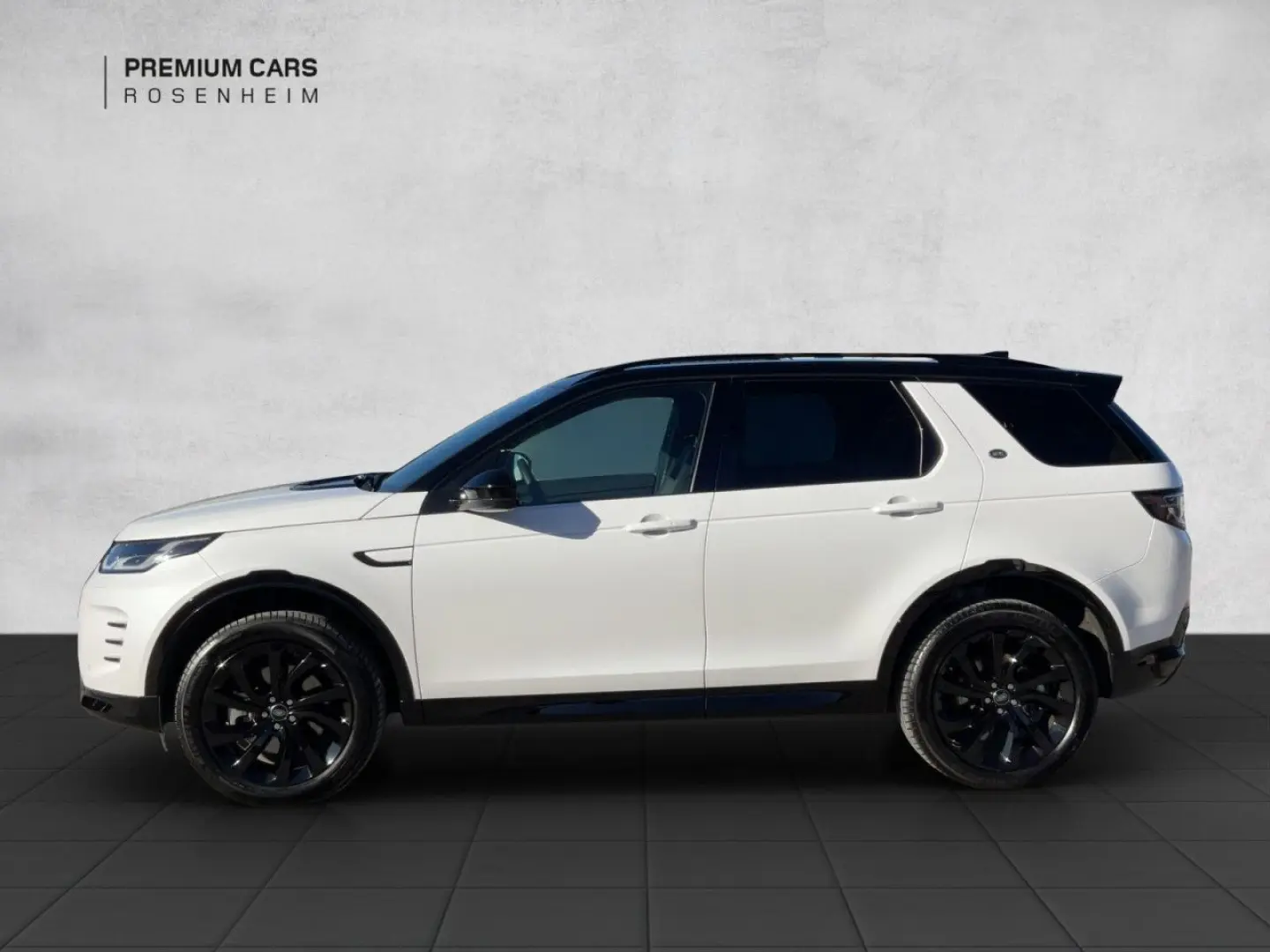 Discovery Sport P250 Dynamic SE AWD Winter-P.
