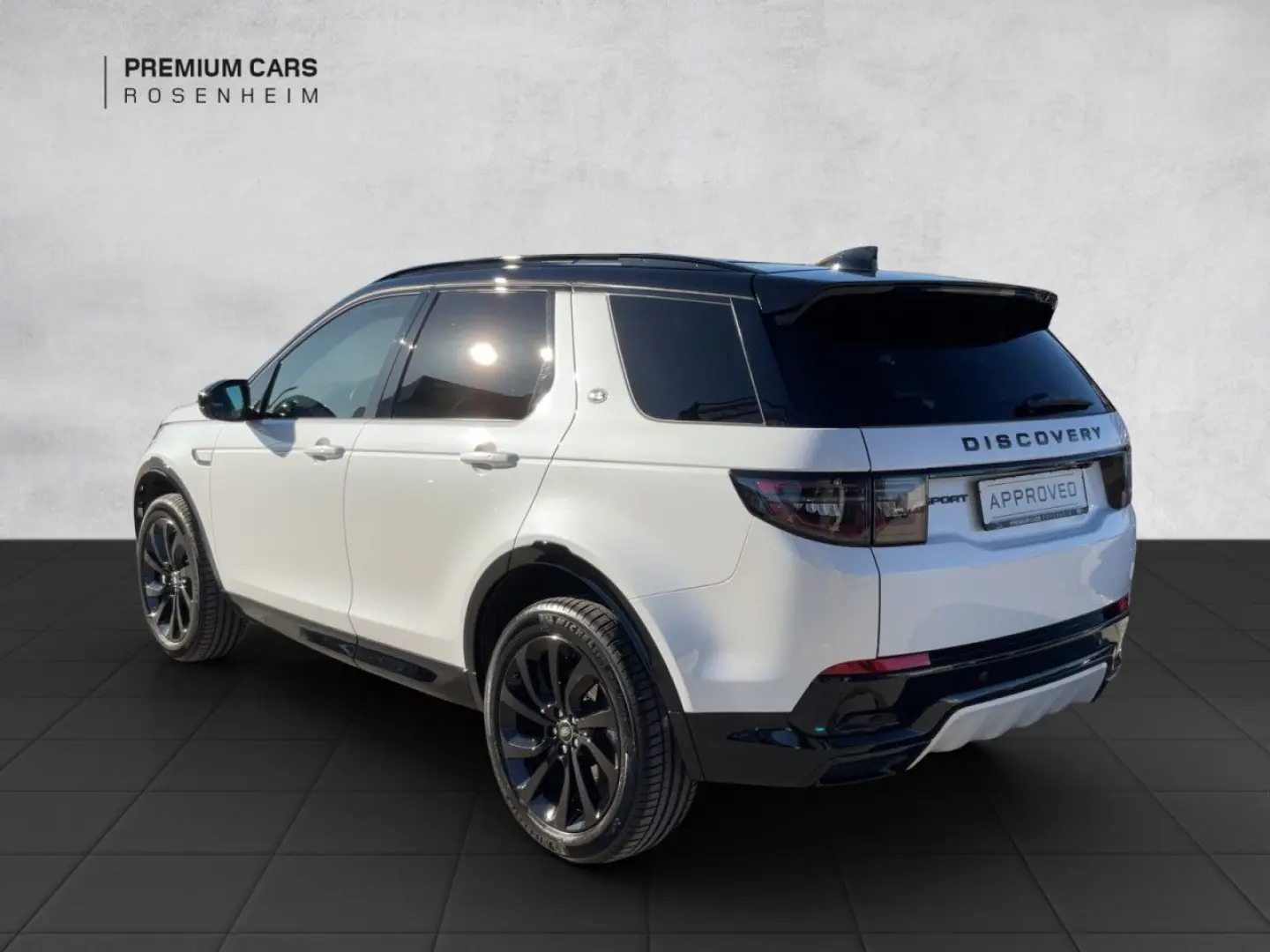Discovery Sport P250 Dynamic SE AWD Winter-P.