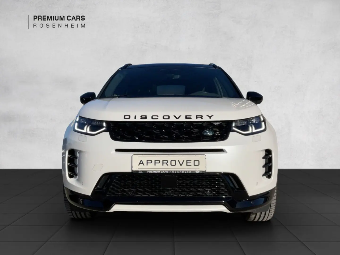 Discovery Sport P250 Dynamic SE AWD Winter-P.
