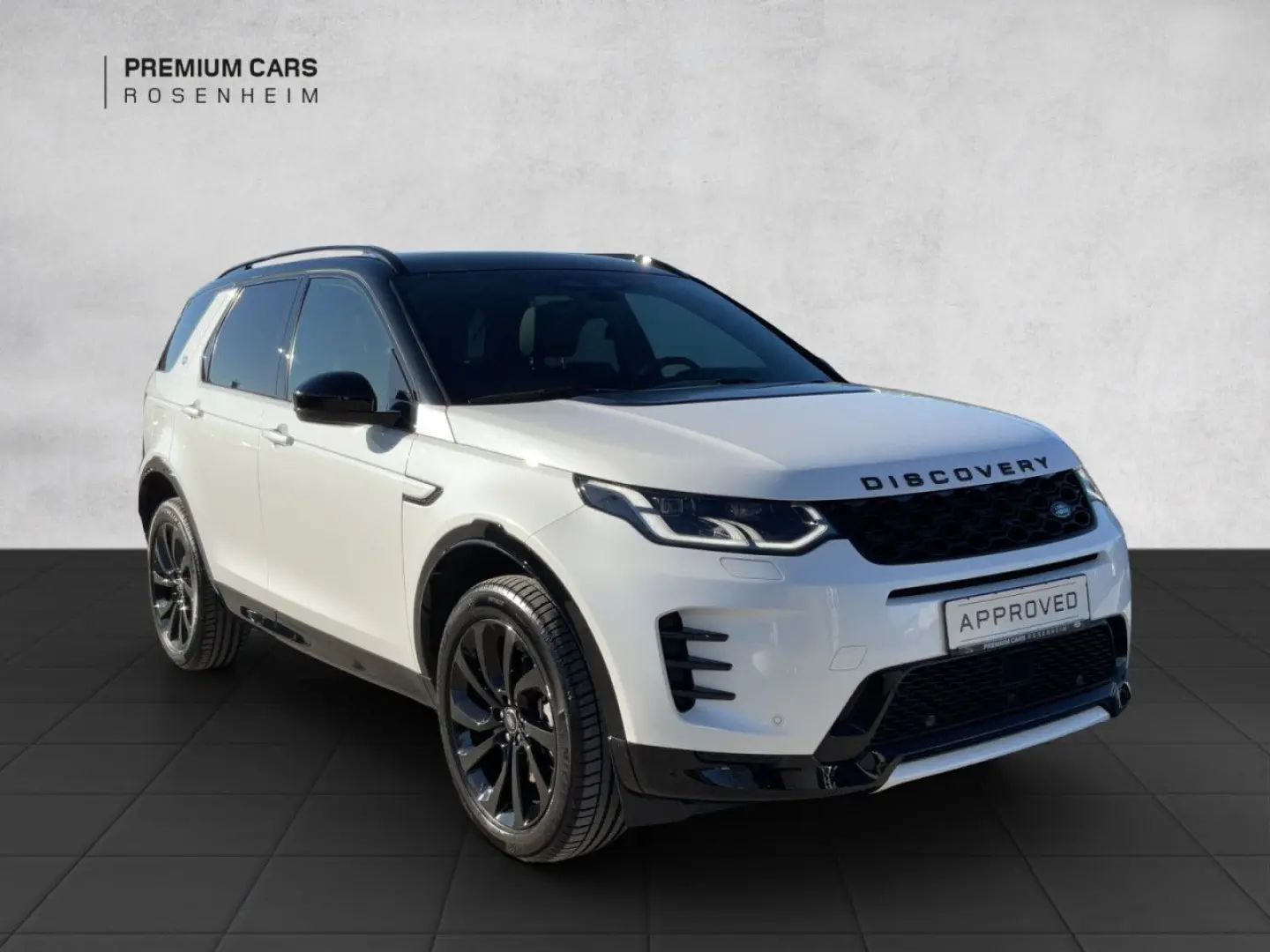 Discovery Sport P250 Dynamic SE AWD Winter-P.