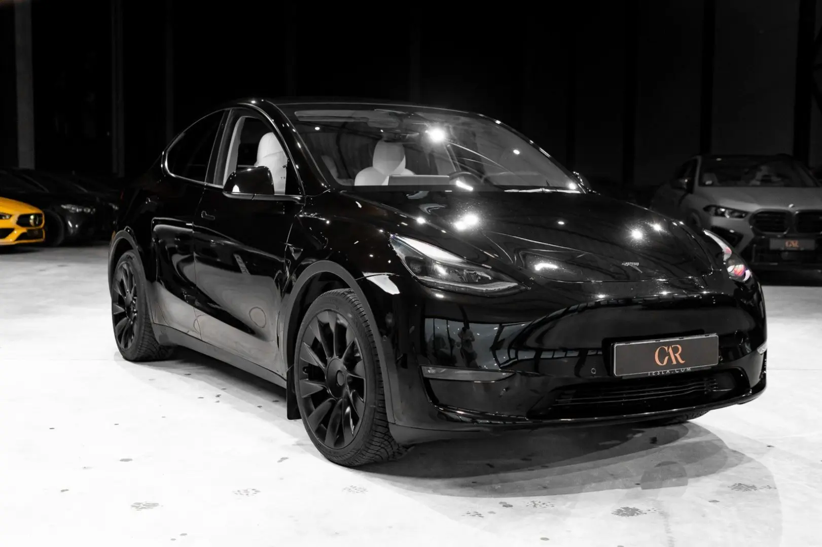 Model Y Long Range Dual Motor AWD*Supercharger*