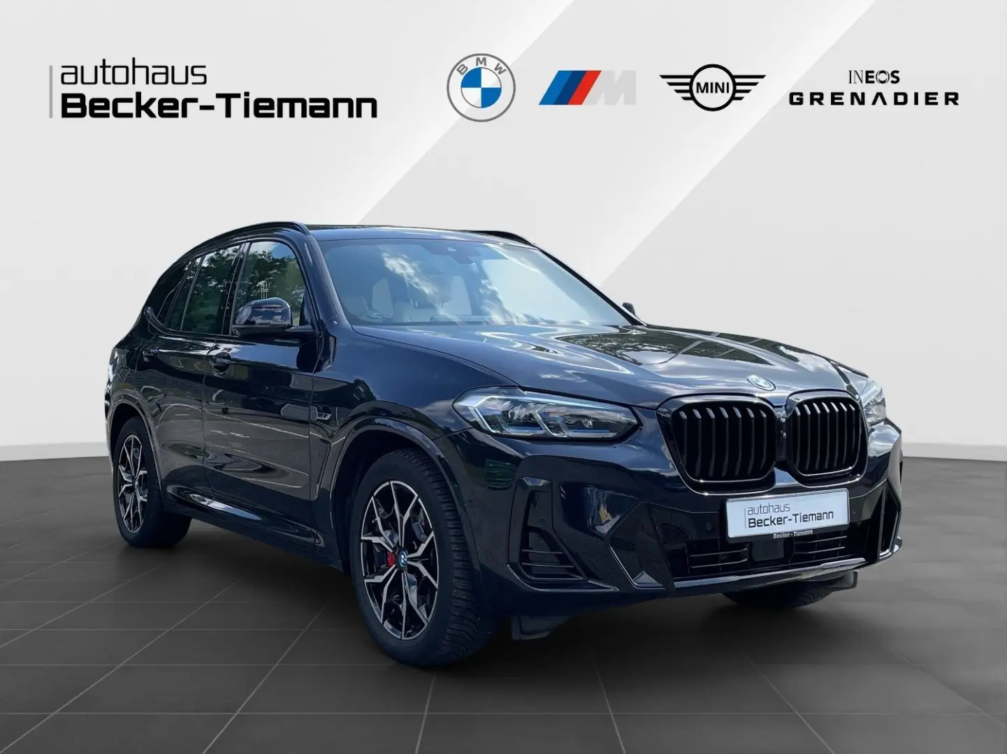 X3 xDrive30e M Sport/ ParkAss+/ ACC/ Laser/ Adap