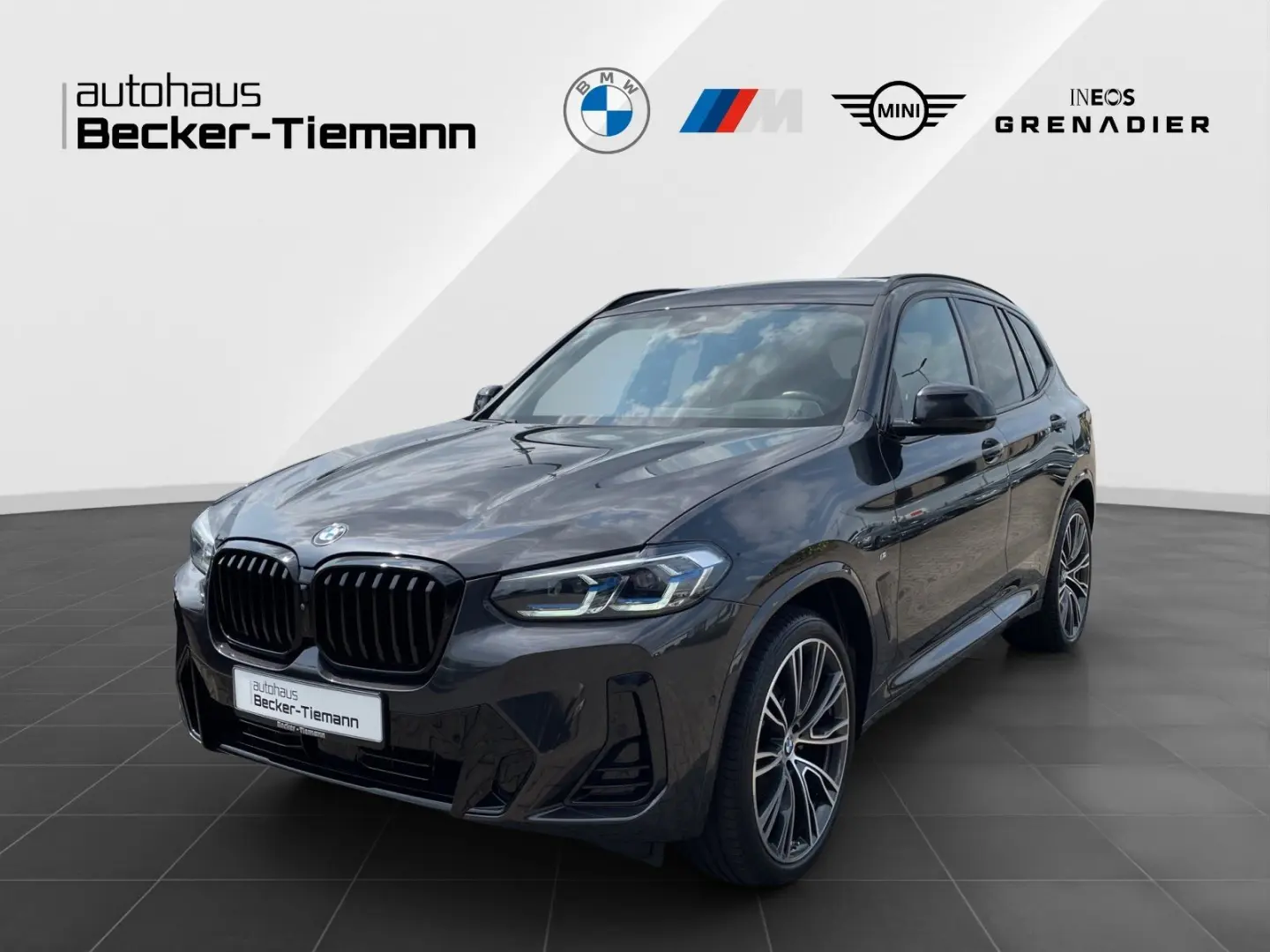 X3 xDrive20d Panorama/Winterfreude/Laser/Driving