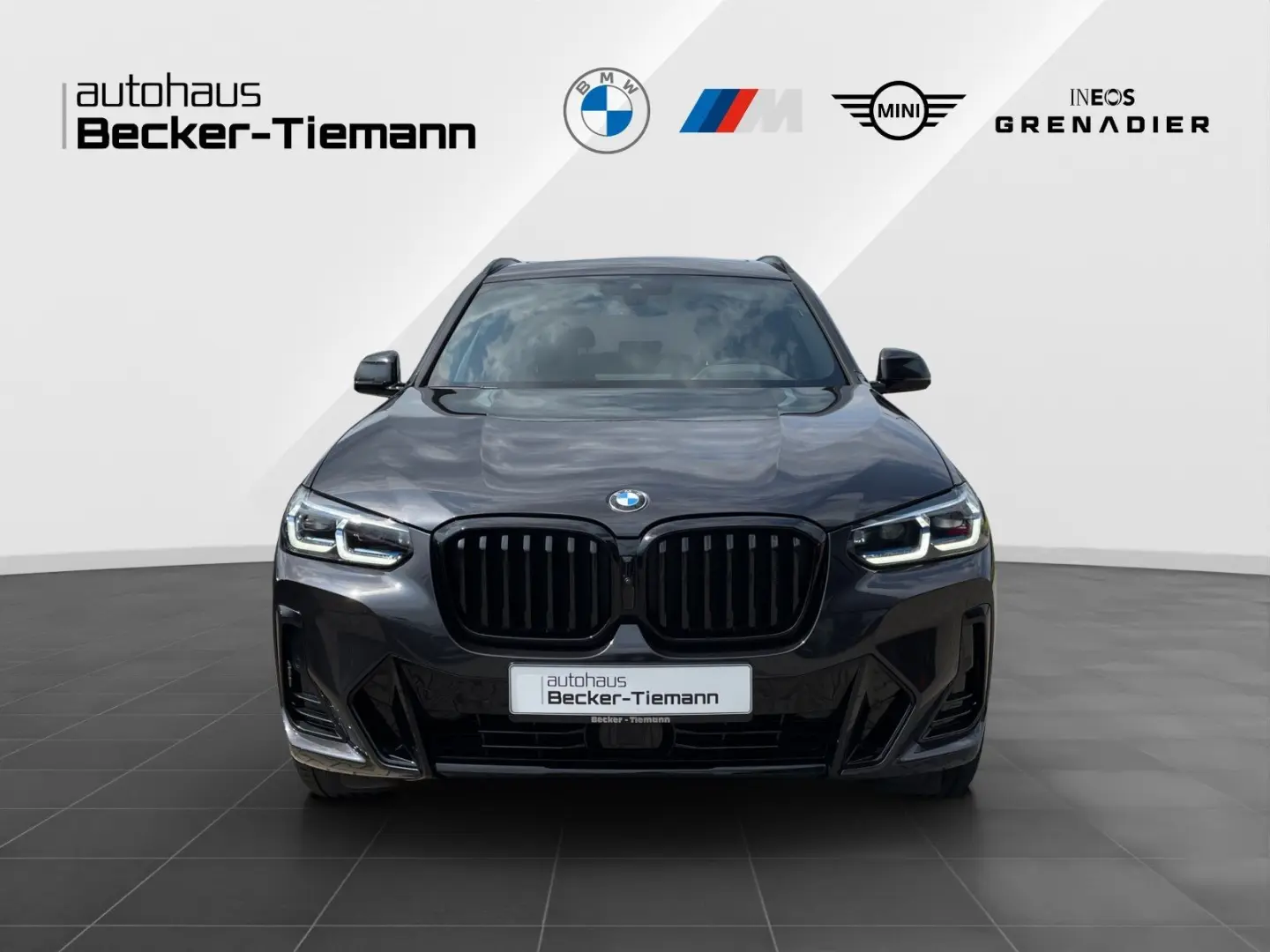 X3 xDrive20d Panorama/Winterfreude/Laser/Driving