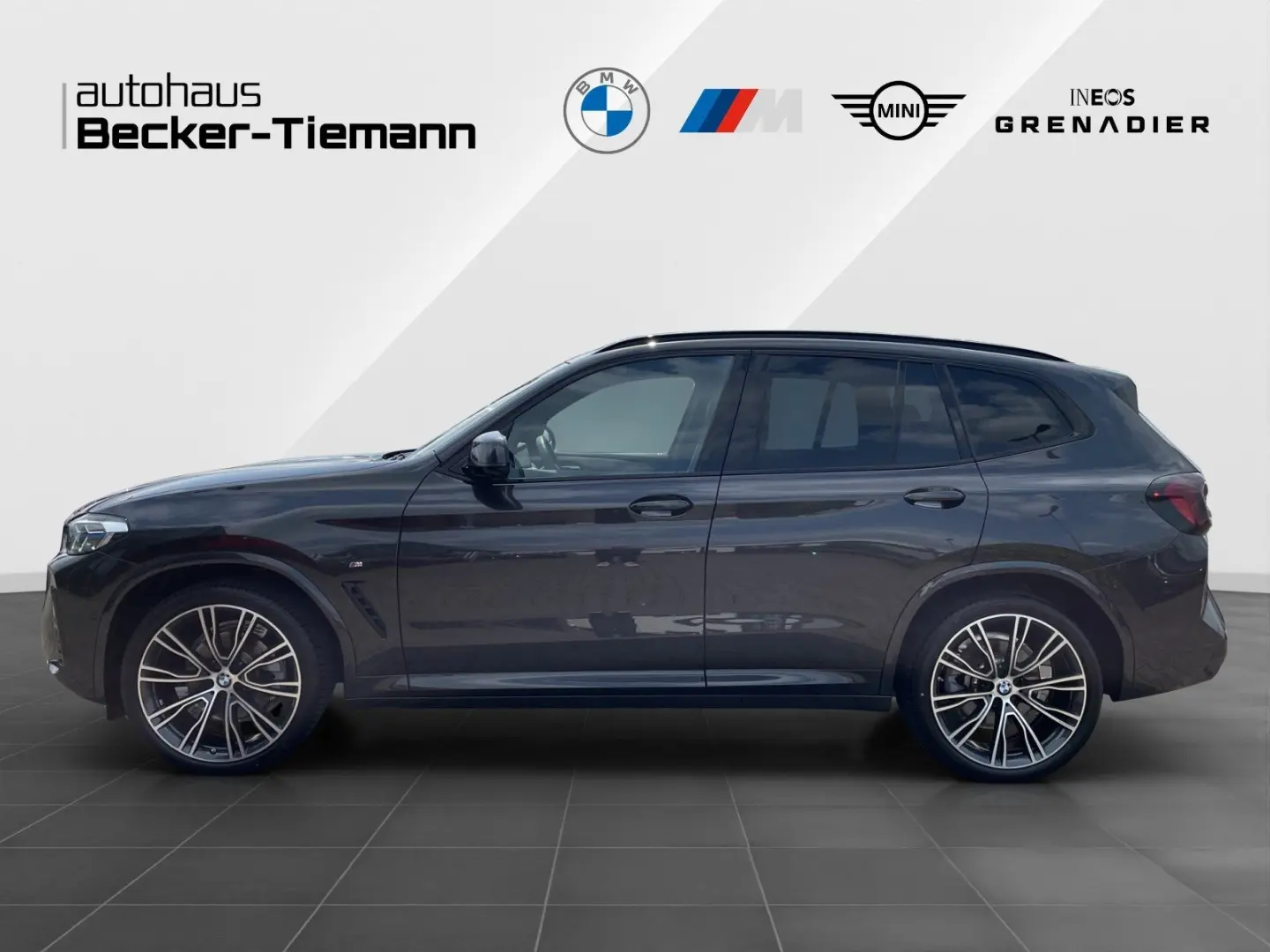 X3 xDrive20d Panorama/Winterfreude/Laser/Driving