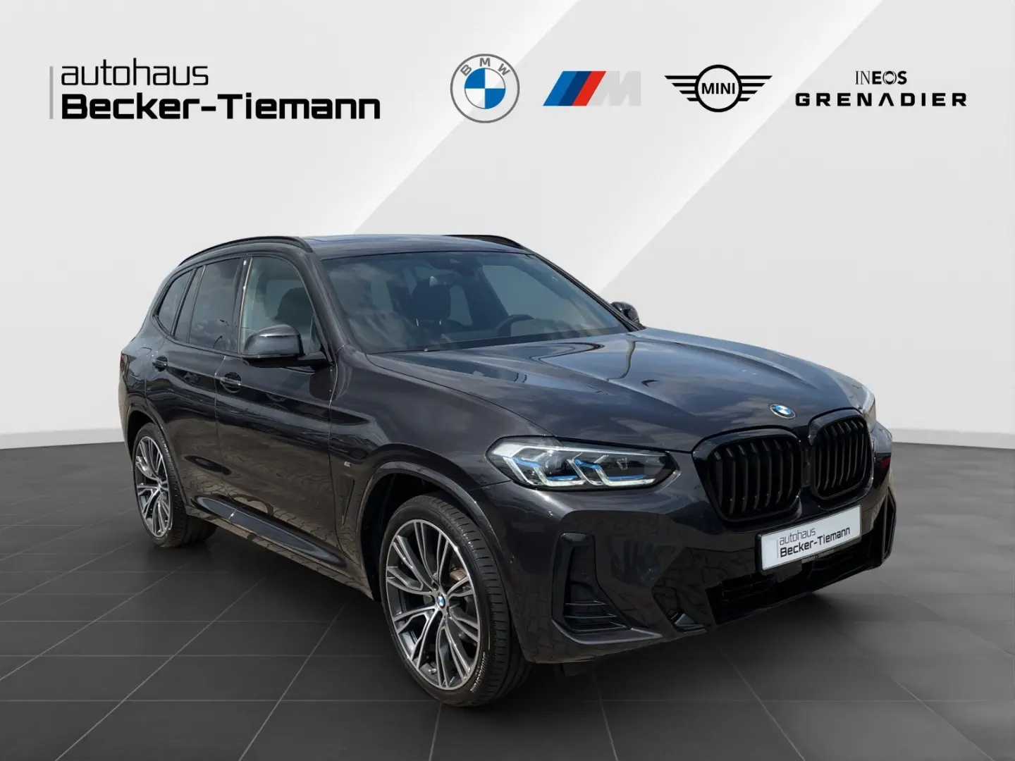 X3 xDrive20d Panorama/Winterfreude/Laser/Driving