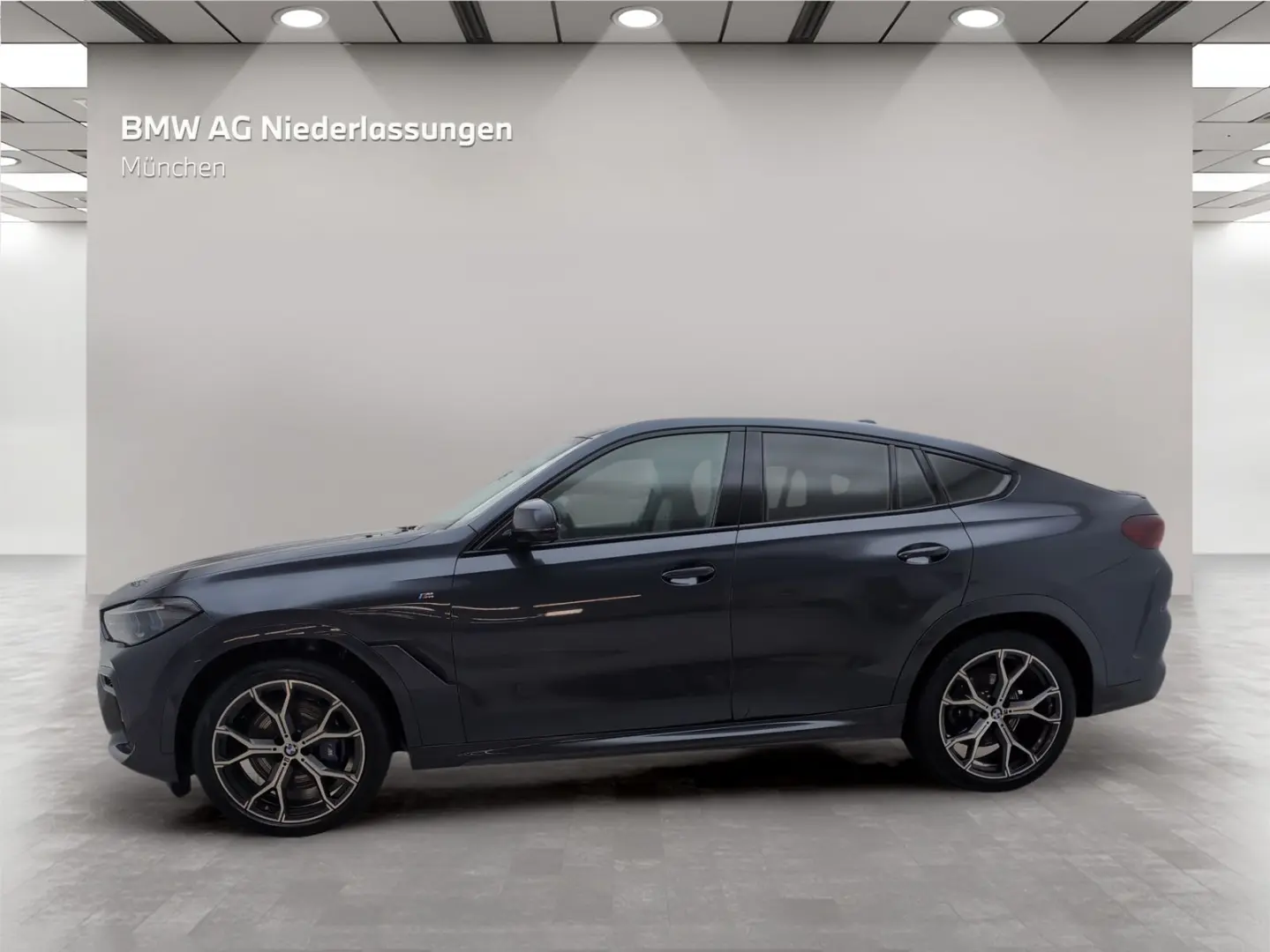 X6 xDrive30d M Sport Standheizung Harman/K