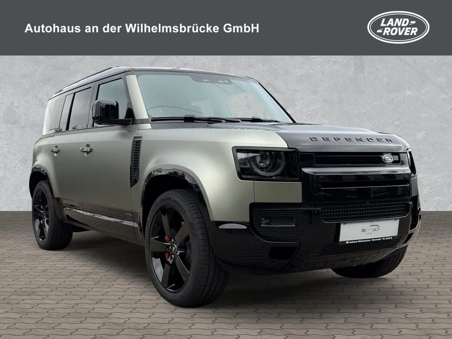 Defender 110 D300 X SHZ/22