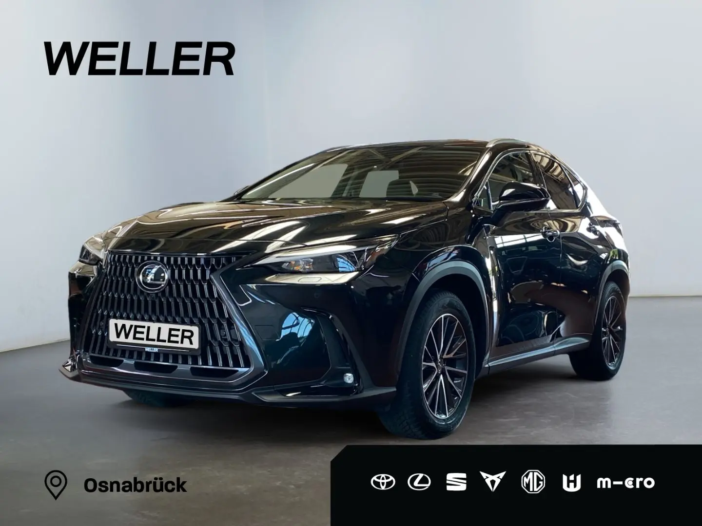 NX 350h Executive Line *Bi-LED*360°*ACC*el Heck*
