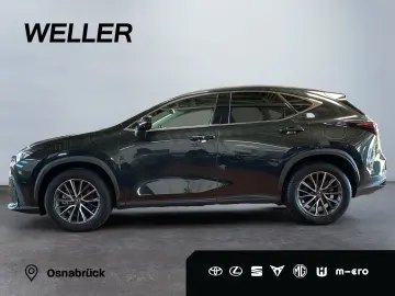 NX 350h Executive Line *Bi-LED*360°*ACC*el Heck*