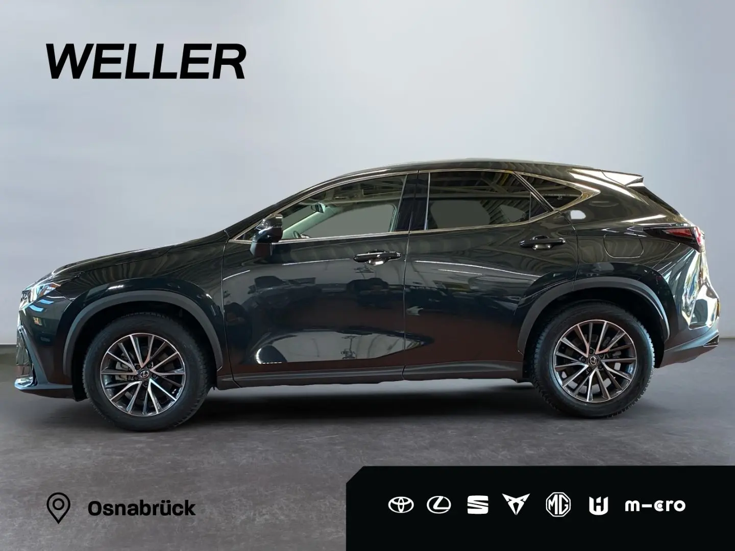 NX 350h Executive Line *Bi-LED*360°*ACC*el Heck*