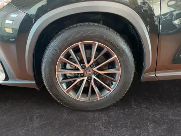 NX 350h Executive Line *Bi-LED*360°*ACC*el Heck*