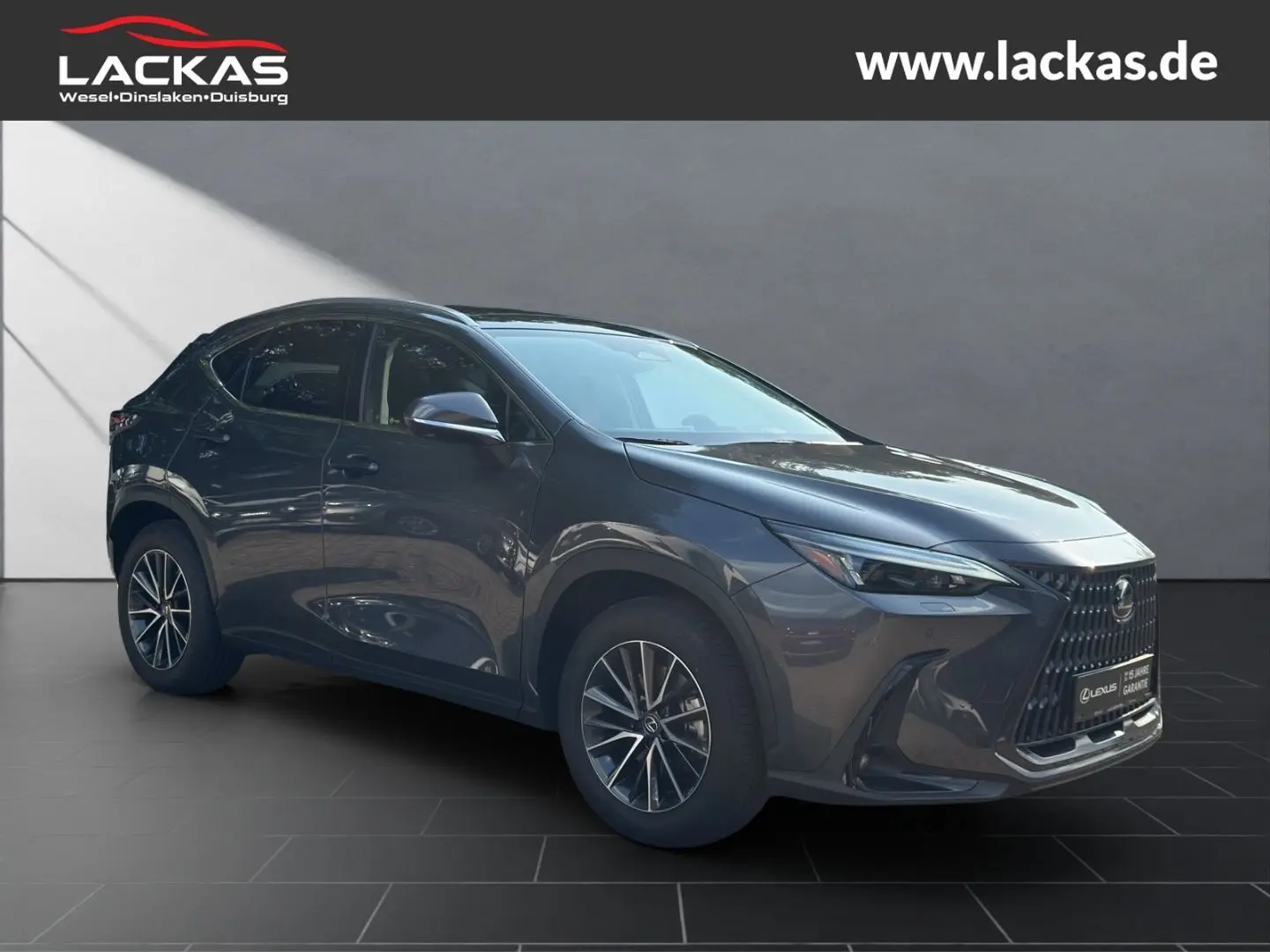 NX 350h EXECUTIVE*4x4*PANORAMA*HUD*MEMORY*AHK*GA